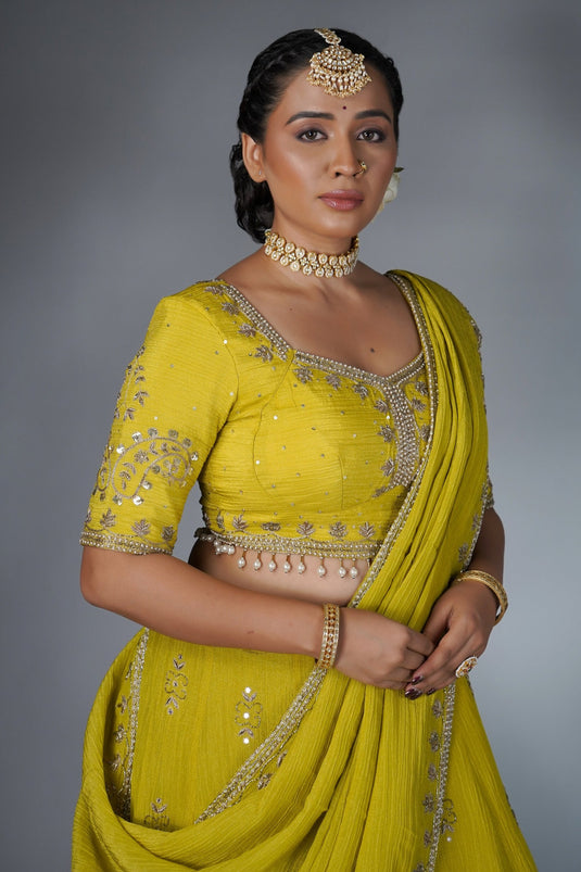 Serenade Lehenga Choli