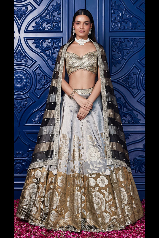 Fusionic Banarasi Lehenga Choli