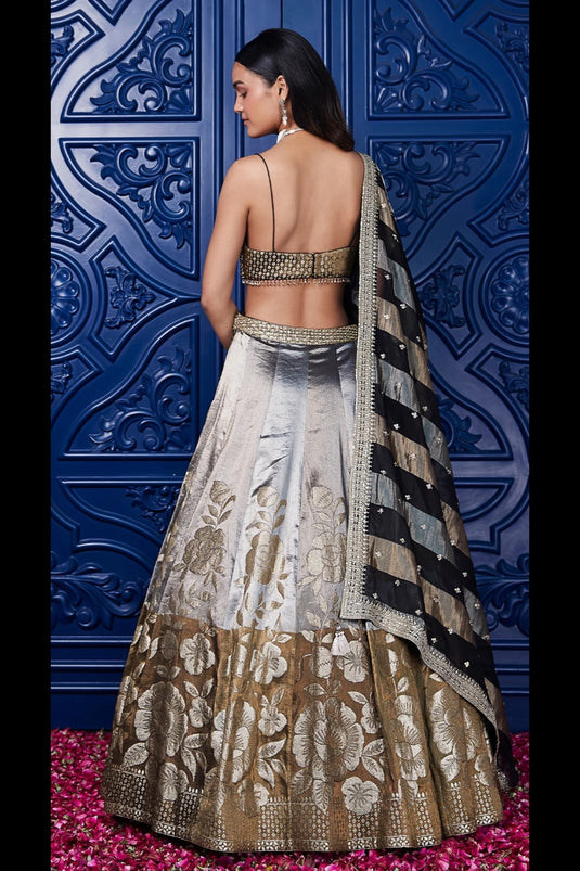 Fusionic Banarasi Lehenga Choli