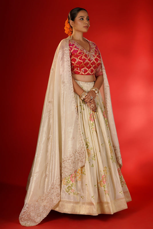 Dazzling Lehenga Choli