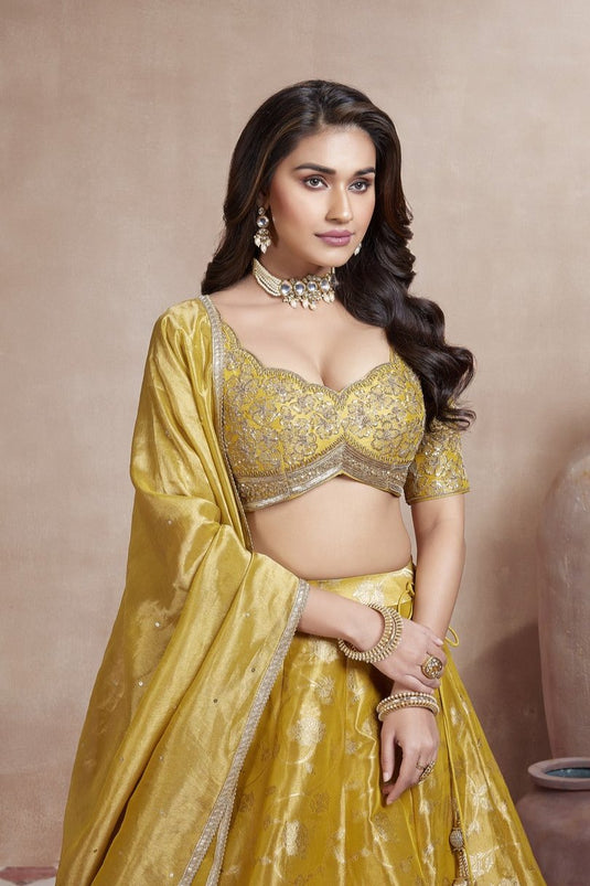 Sunburst Lehenga Choli