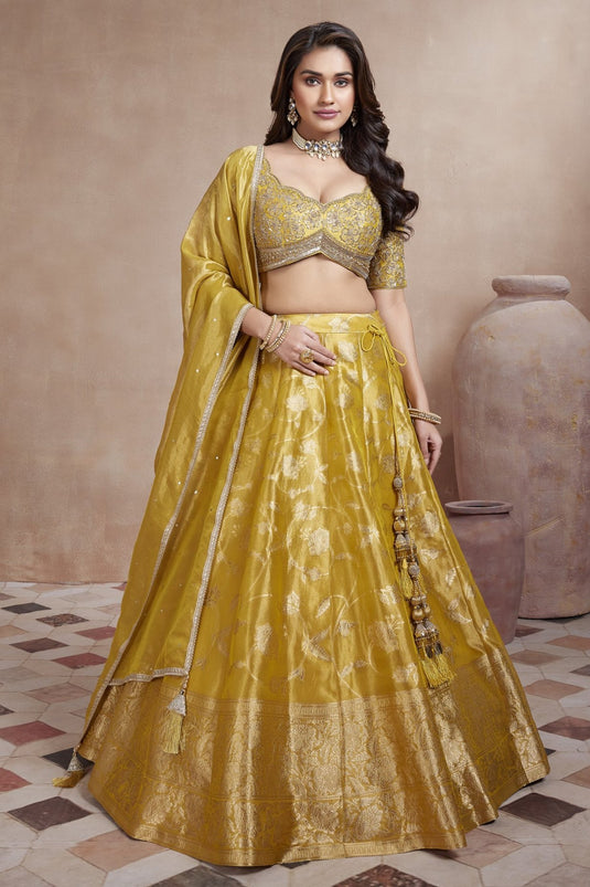 Sunburst Lehenga Choli