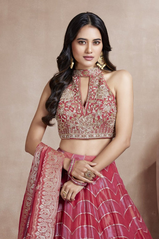 Ravishing Lehenga Choli