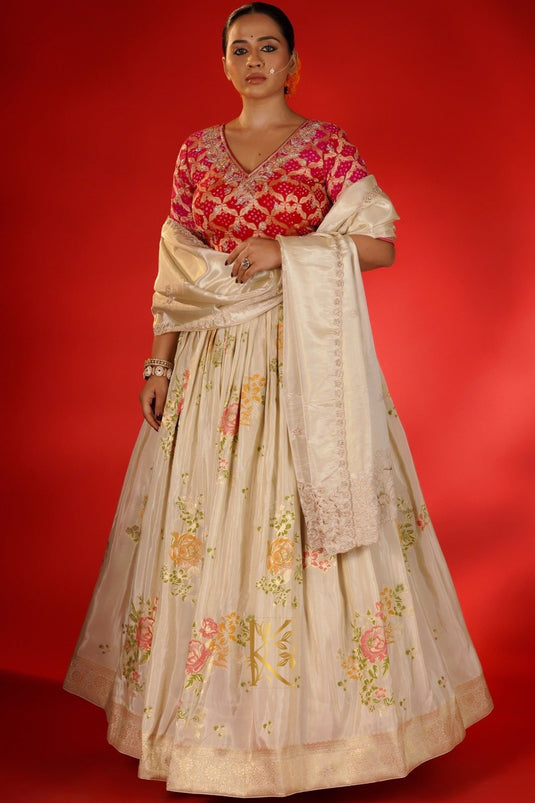 Dazzling Lehenga Choli