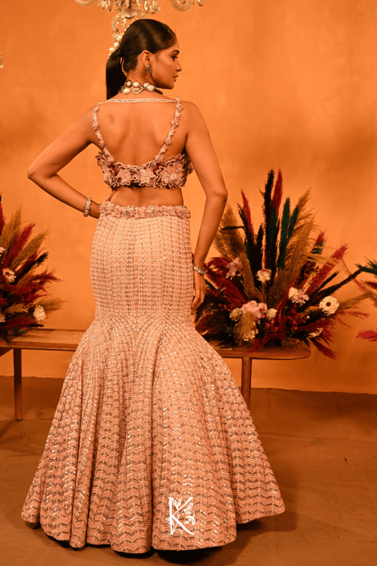Champagne Gleam Fishcut Lehenga Choli
