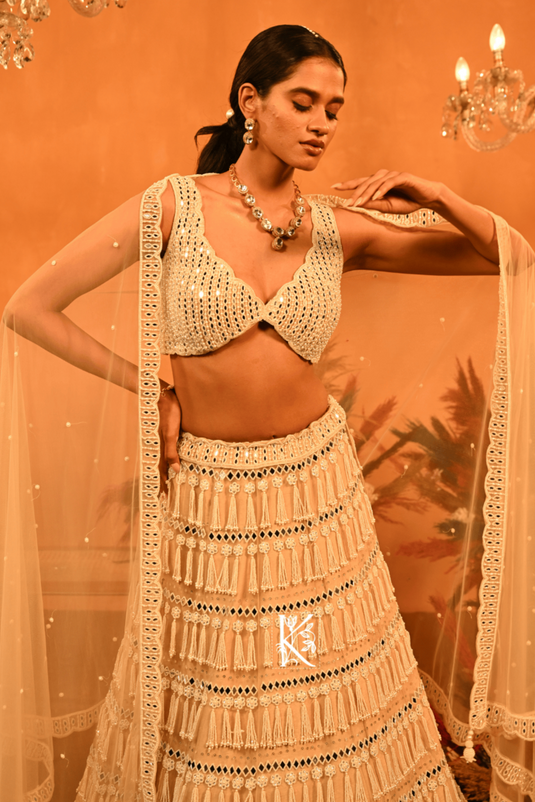 Pearl Mystique Lehenga Choli
