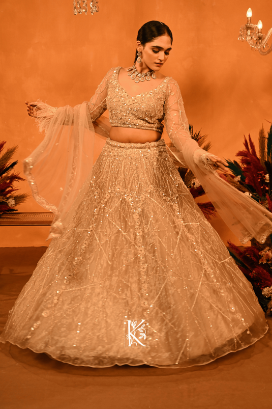 Zari Zeal Lehenga Choli