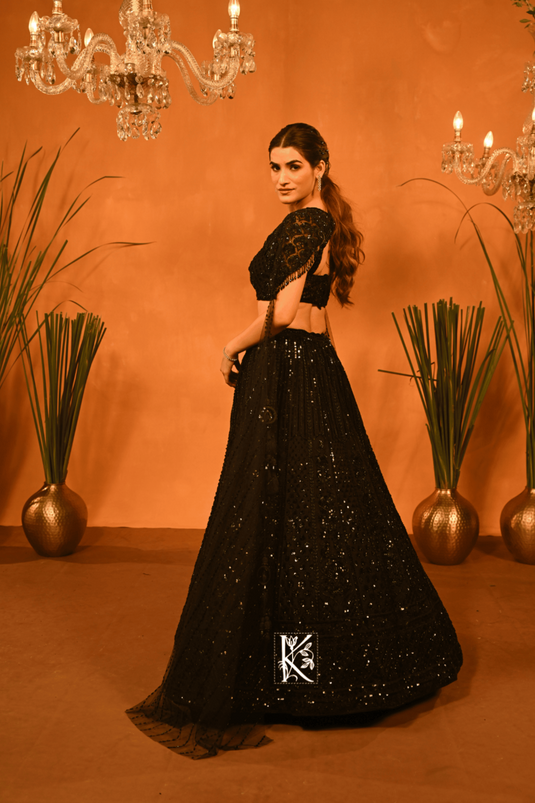 Shimmer Splendor Lehenga Choli