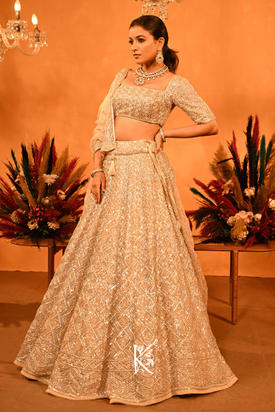 Emerald Lustre Lehenga Choli