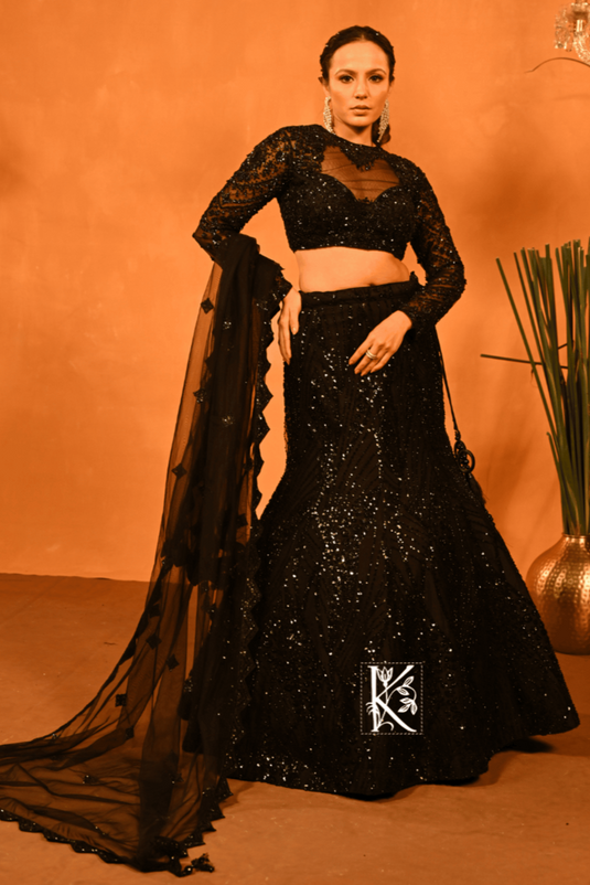 Moonlight Magic Lehenga Choli