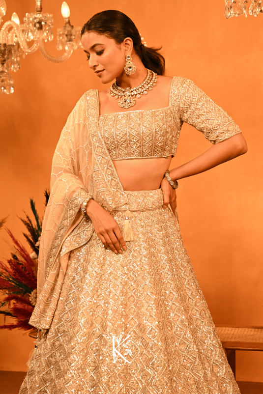 Emerald Lustre Lehenga Choli