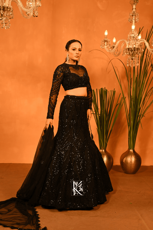Moonlight Magic Lehenga Choli