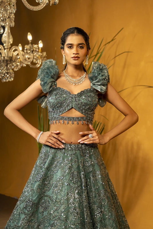 Twinkling Star Lehenga Choli